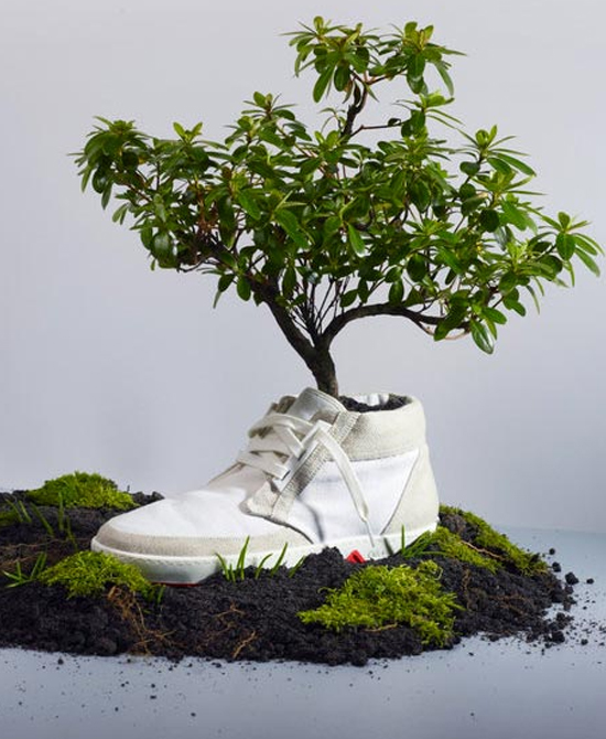 Portfolio Image